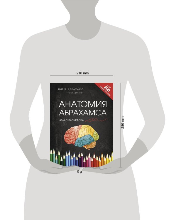 Анатомия Абрахамса. Атлас-раскраска