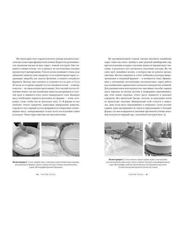 Заново изобретая колесо: молоко, микробы и битва за настоящий сыр