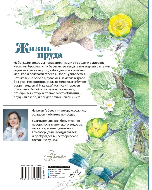 Жизнь пруда