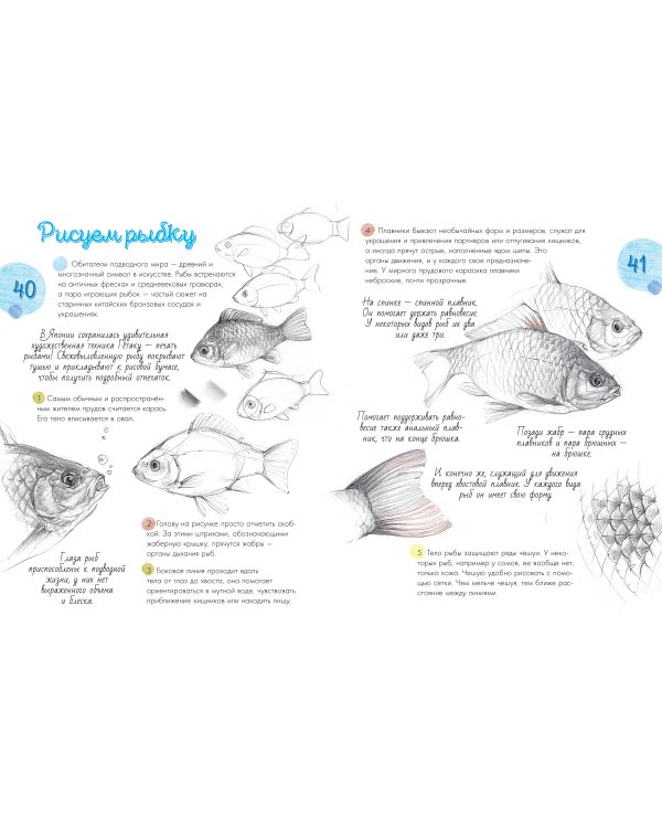 Жизнь пруда