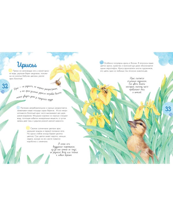 Жизнь пруда