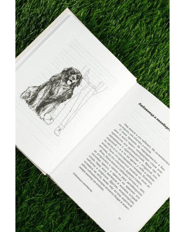 ...и чтобы рядом шла собака. Истории о дружбе, преданности и любви