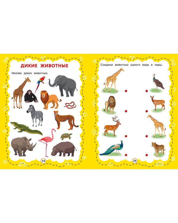 Познаем мир