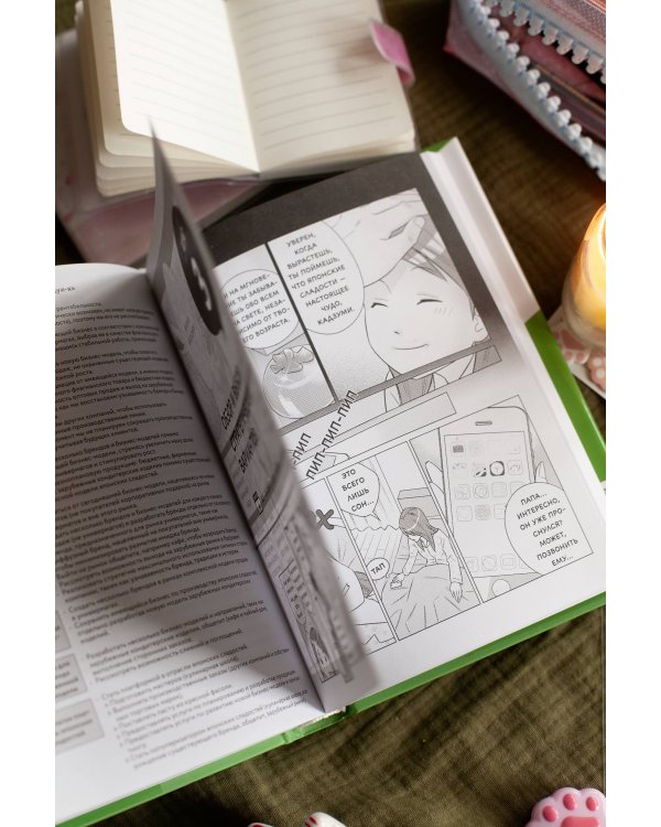 Бизнес-манга: Стратегия бизнеса Кадзуми. Как разработать и реализовать план развития компании