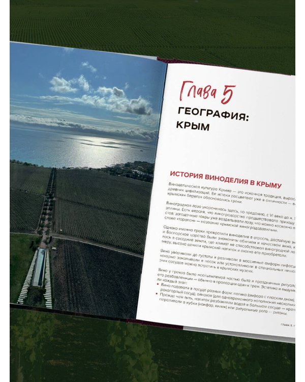 Вино России. История, география, выбор. Новое издание