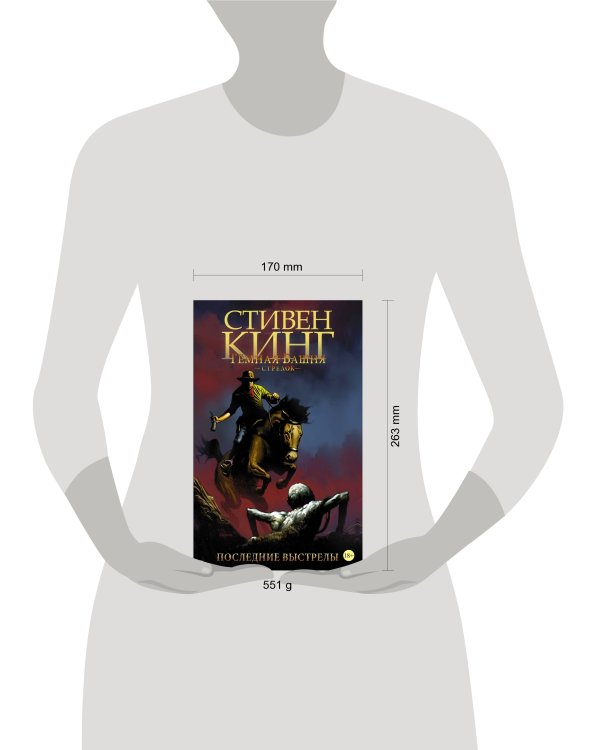 Тёмная башня: Стрелок. Книга 6. Последние выстрелы