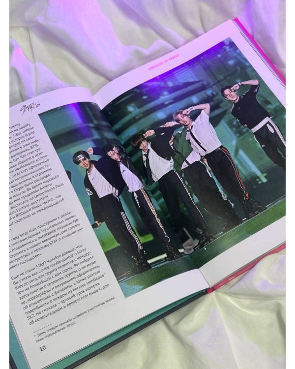 Stray Kids. Фанбук о лидерах K-pop