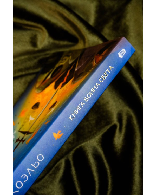 Книга воина света