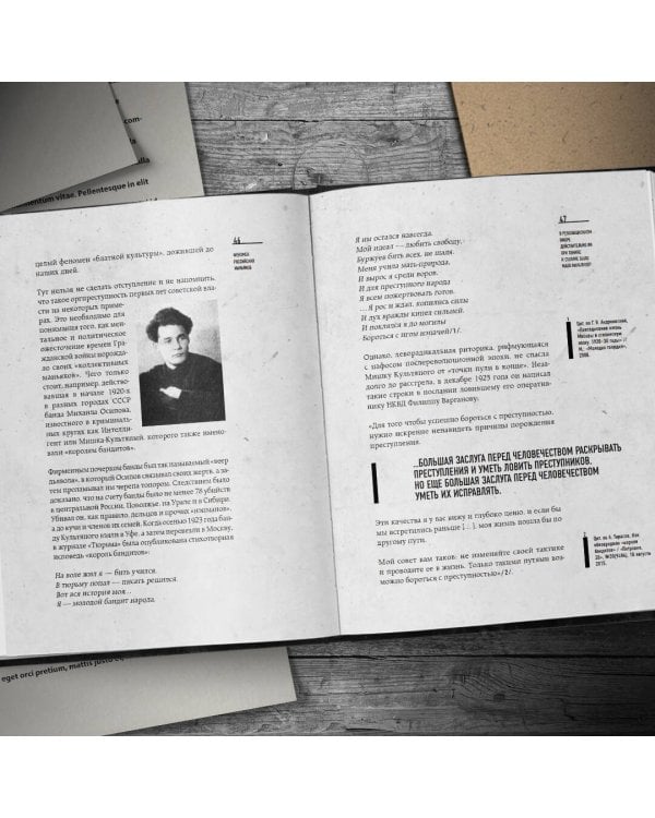 Феномен российских маньяков. Первое масштабное исследование маньяков и серийных убийц времен царизма, СССР и РФ