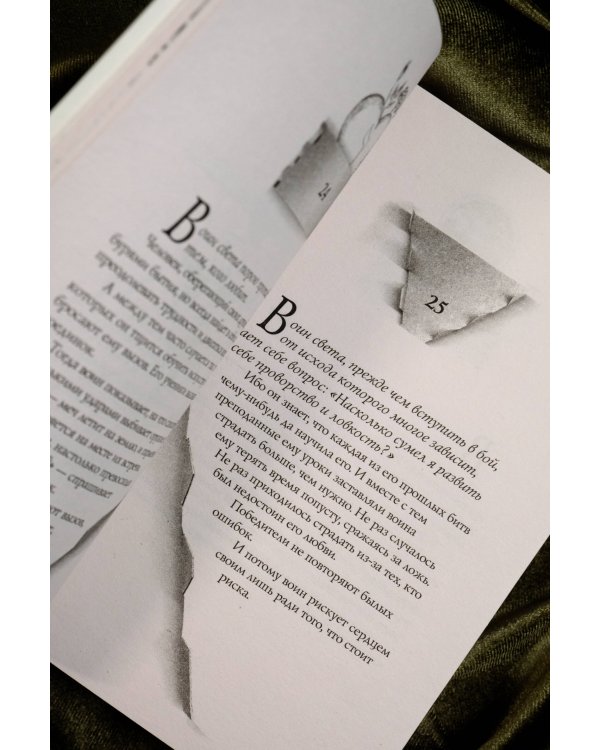 Книга воина света