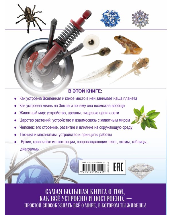 О том, как всё устроено