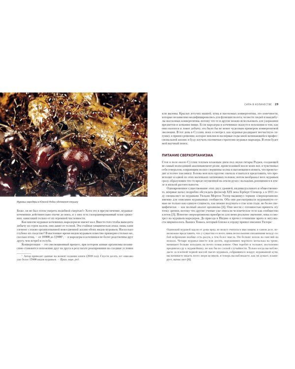 Приключения среди муравьев. Путешествие по земному шару с триллионами суперорганизмов