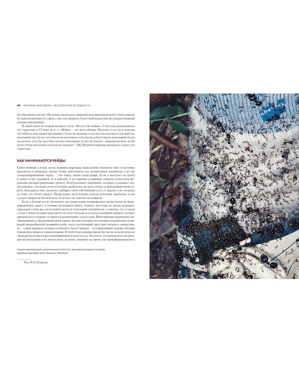 Приключения среди муравьев. Путешествие по земному шару с триллионами суперорганизмов