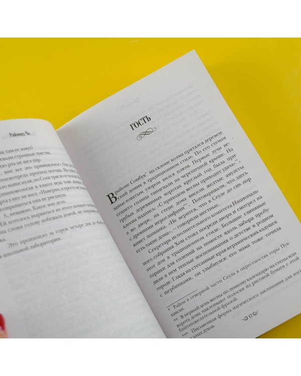 Юная шаманка Пом