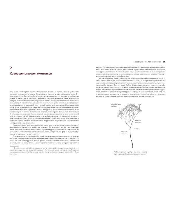 Приключения среди муравьев. Путешествие по земному шару с триллионами суперорганизмов