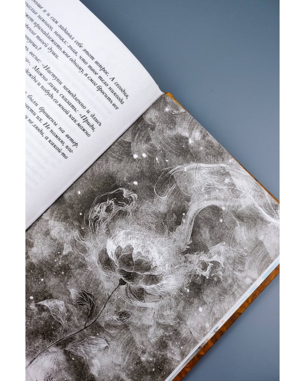 Одиннадцать минут