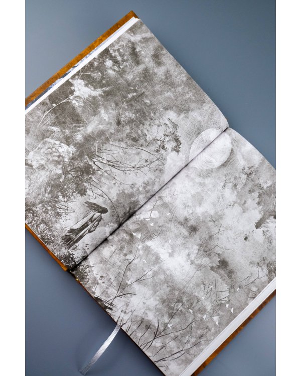 Одиннадцать минут