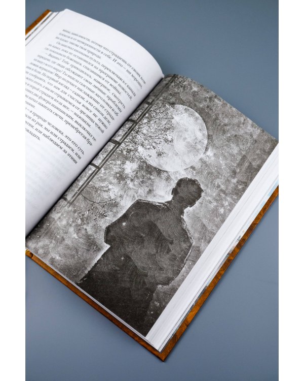 Одиннадцать минут