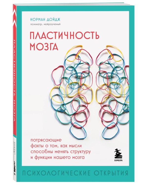Пластичность мозга. Потрясающие факты о том, как мысли способны менять структуру и функции нашего мозга