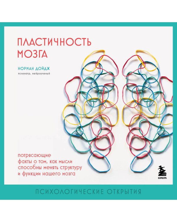 Пластичность мозга. Потрясающие факты о том, как мысли способны менять структуру и функции нашего мозга