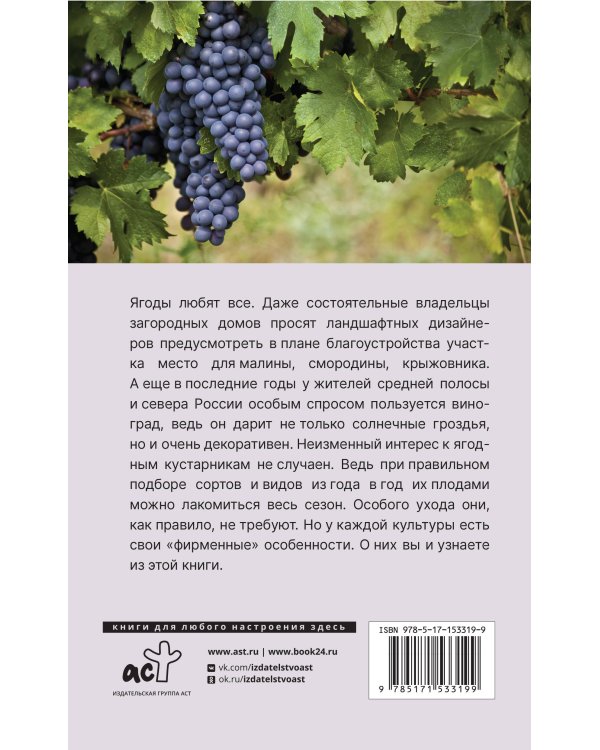 Виноград и другие любимые ягоды. Правила и советы для начинающих