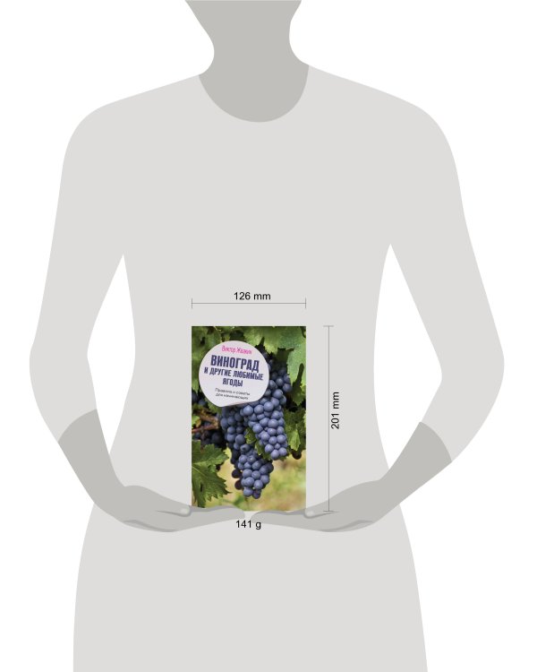 Виноград и другие любимые ягоды. Правила и советы для начинающих