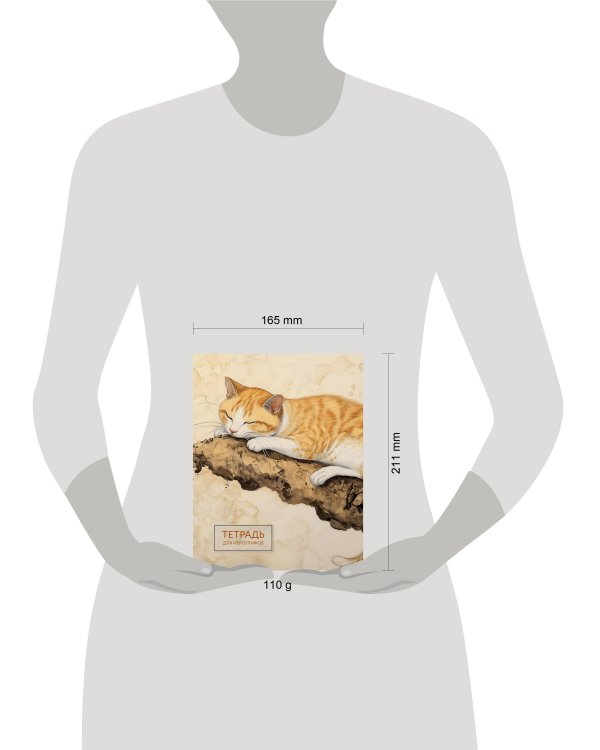 Тетрадь для иероглифов (рыжий котик)