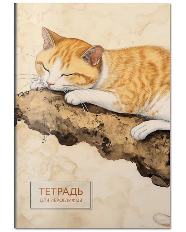 Тетрадь для иероглифов (рыжий котик)
