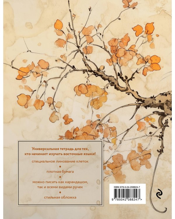 Тетрадь для иероглифов (рыжий котик)