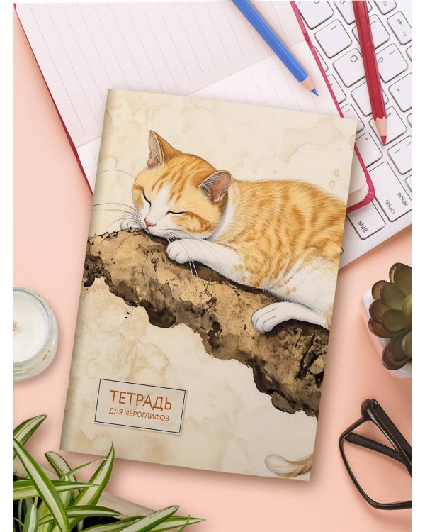 Тетрадь для иероглифов (рыжий котик)