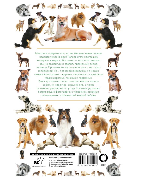 Собаки. Иллюстрированный гид