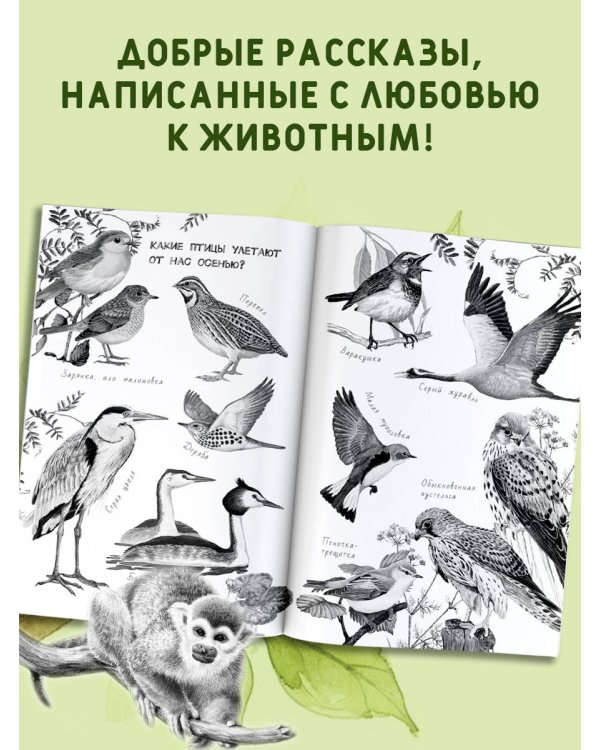 Хрестоматия для дошкольников