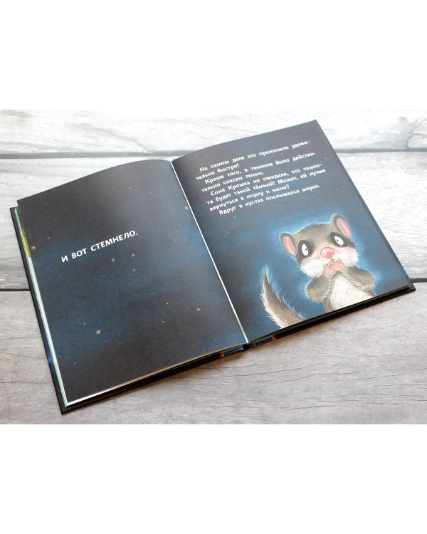 История маленькой сони, которая совсем не боялась темноты