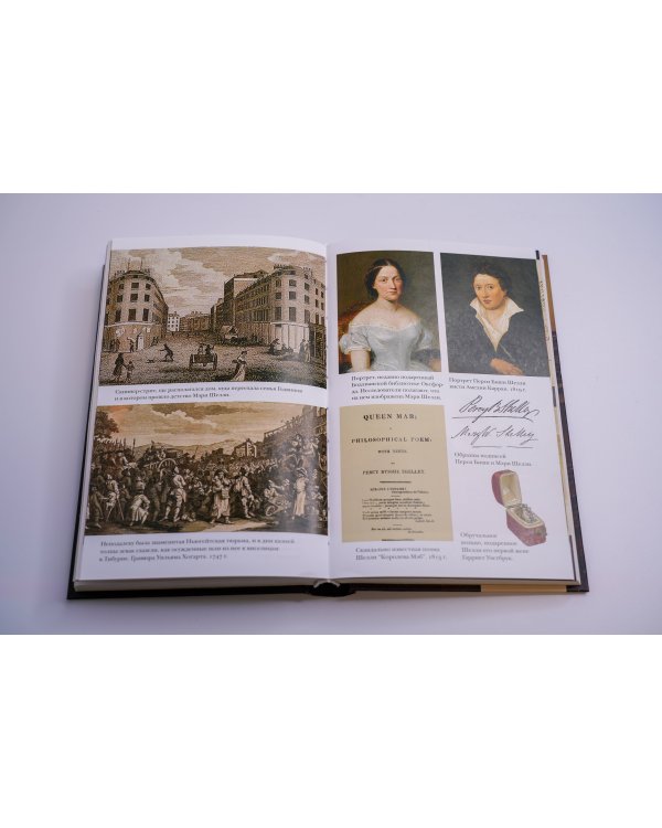 Франкенштейн и его женщины. Пять англичанок в поисках счастья