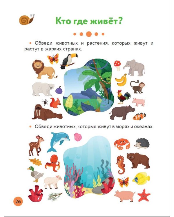 Обучающие упражнения для детей 4+