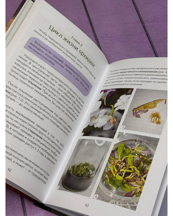 Орхидеи без правил. Шпаргалка-трекер по уходу за самыми красивыми и капризными цветами