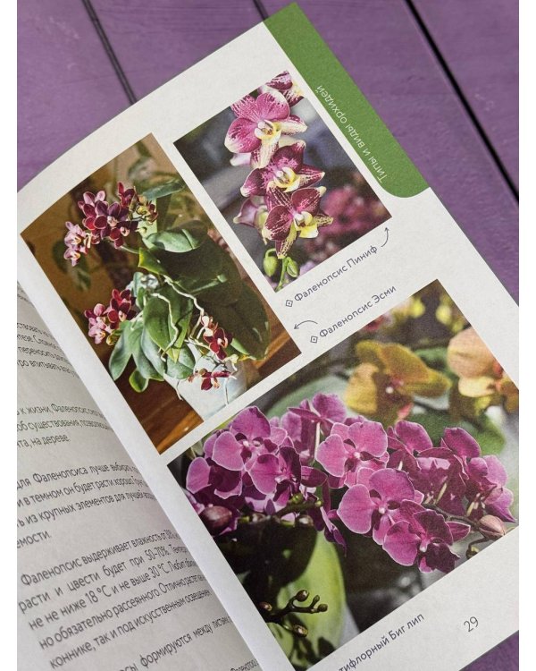Орхидеи без правил. Шпаргалка-трекер по уходу за самыми красивыми и капризными цветами