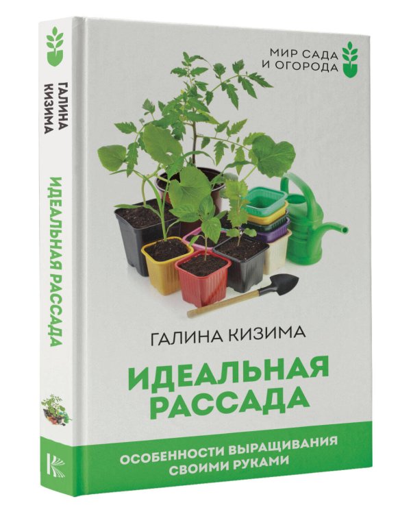 Идеальная рассада. Особенности выращивания своими руками