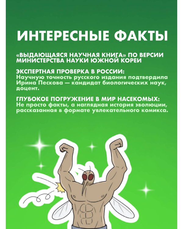 Фантастическая эволюция насекомых