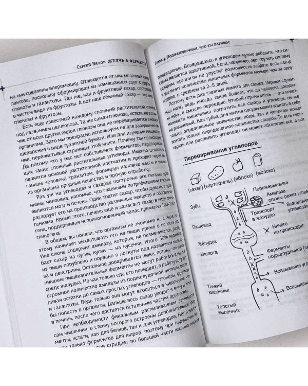 Беременность. Современные лайфхаки доказательной медицины