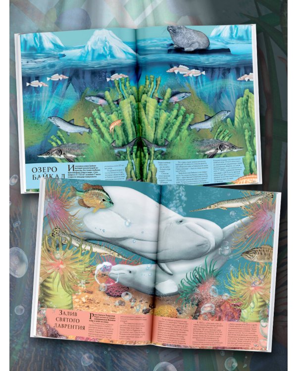 Подводный мир