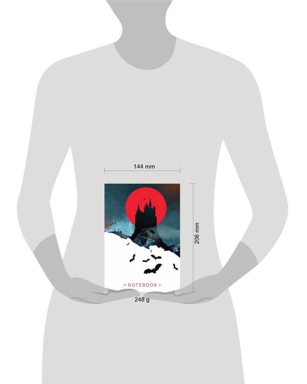 Белая птица. Блокнот. Замок Дракулы