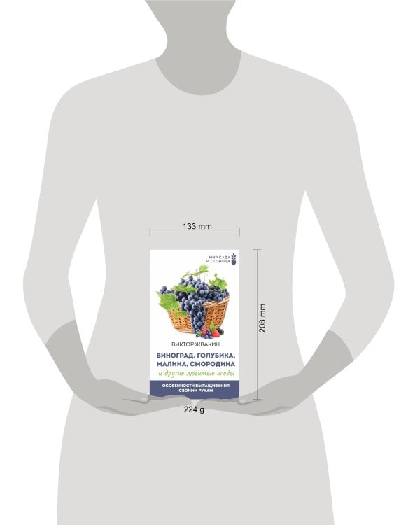 Виноград, голубика, малина, смородина и другие любимые ягоды. Особенности выращивания своими руками