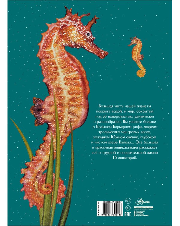 Подводный мир