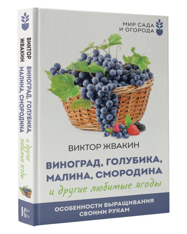 Виноград, голубика, малина, смородина и другие любимые ягоды. Особенности выращивания своими руками