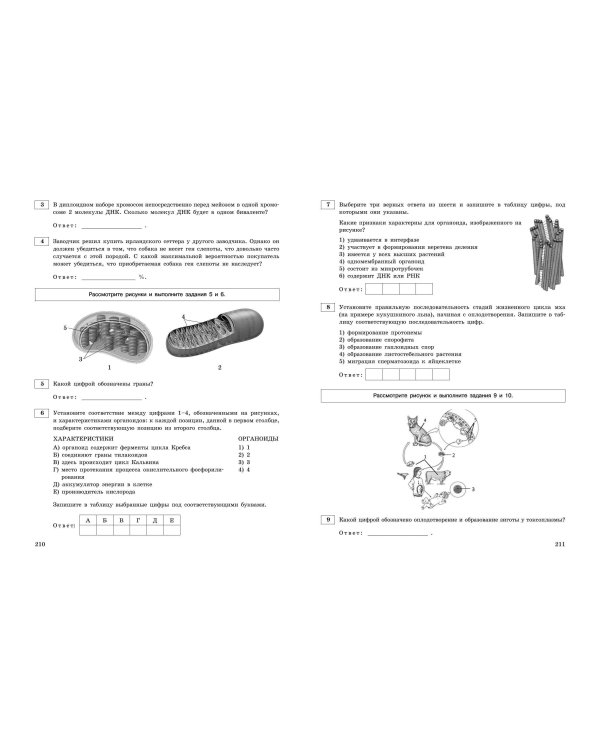 ЕГЭ-2024. Биология. Тренировочные варианты. 20 вариантов