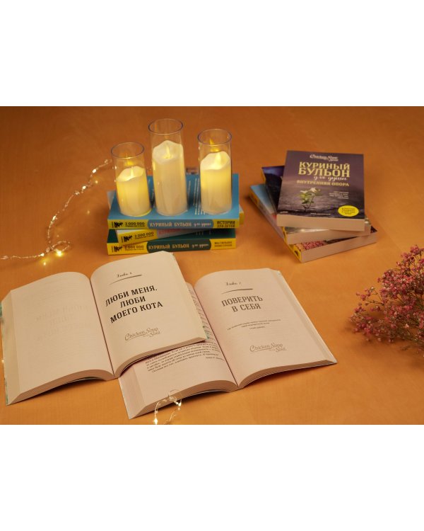 Куриный бульон для души. Чудо любви. 101 история о надежде, родственных душах и магии чувств