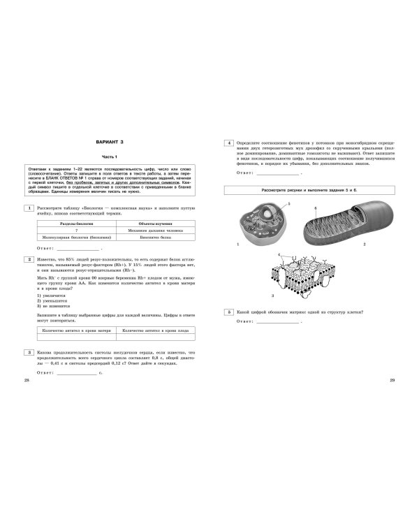 ЕГЭ-2024. Биология. Тренировочные варианты. 20 вариантов