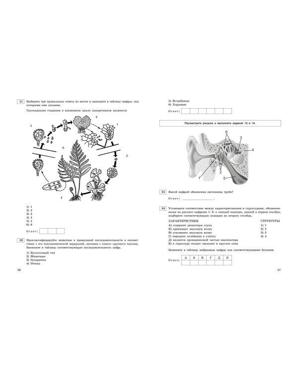 ЕГЭ-2024. Биология. Тренировочные варианты. 20 вариантов