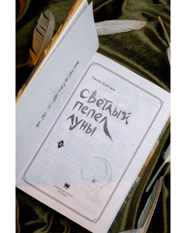 Светлый пепел луны. Книга 2